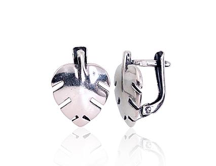 Silver earrings