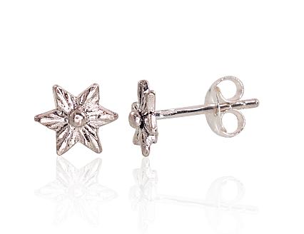 Silver earrings
