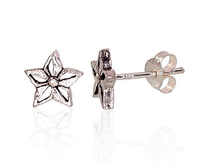 Silver earrings