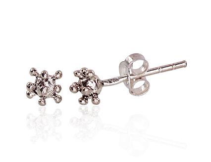 Silver earrings