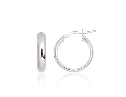 Silver earrings