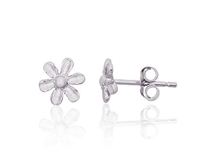 Silver earrings